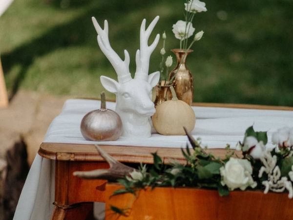 Ostatní dekorace | PartyHomeDecor.cz